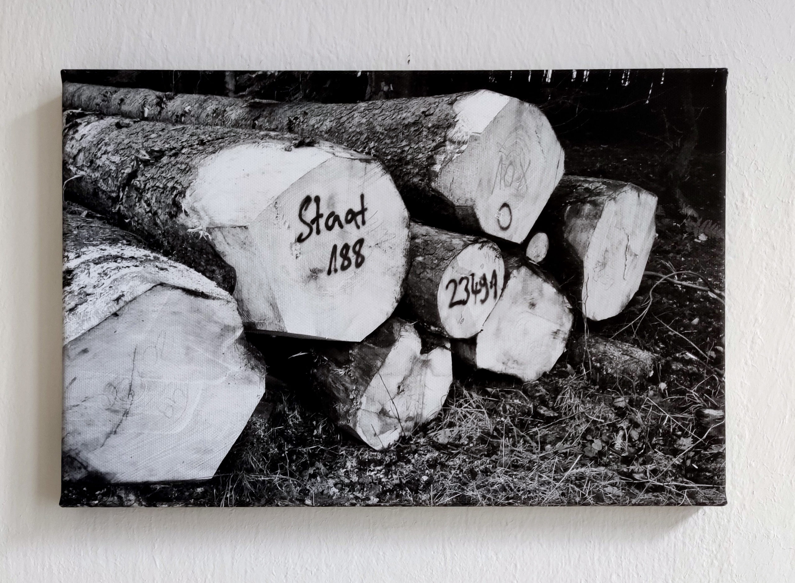 ART OF SUSTAINABILITY & HEIMAT, exhibitions, Galerie GG3, Berlin, 2020